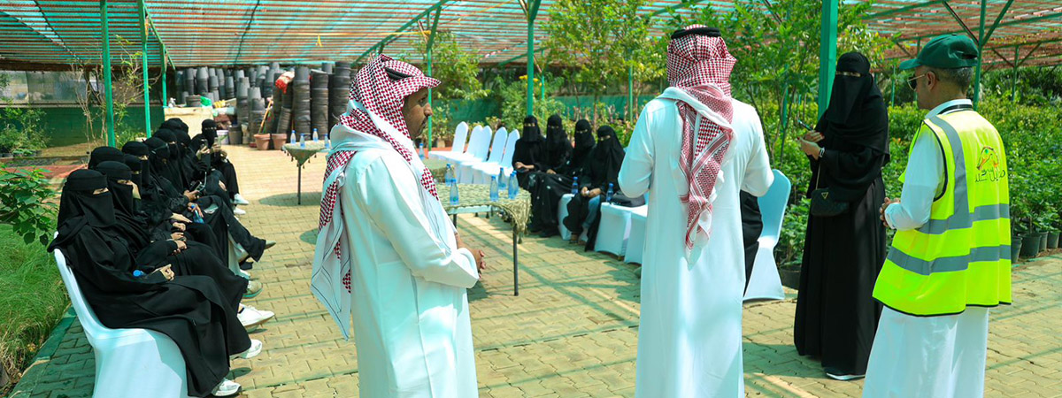 الإنتاج الزراعي